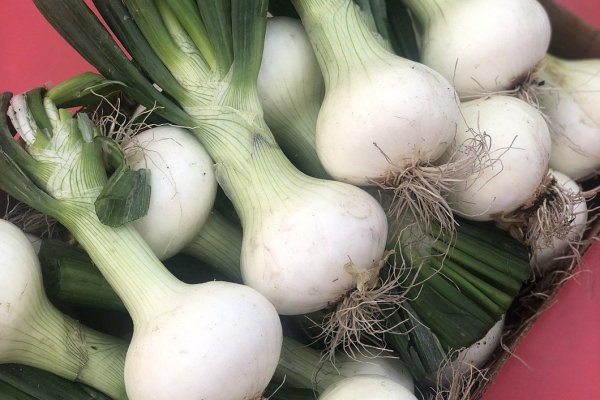 Даркнет маркет кракен onion
