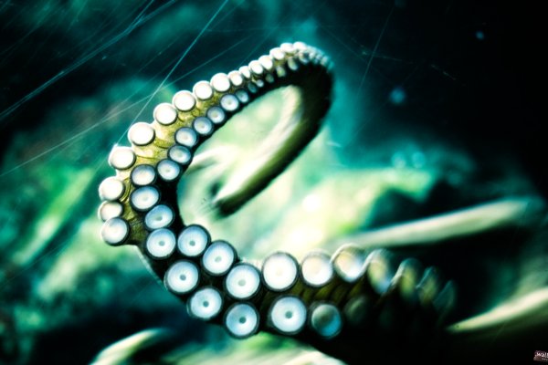 Кракен сайт 1kraken me вход