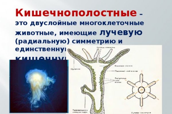 Как зайти на кракен с телефона андроид