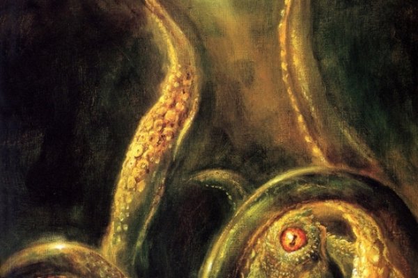Kraken официальный сайт ссылка через tor