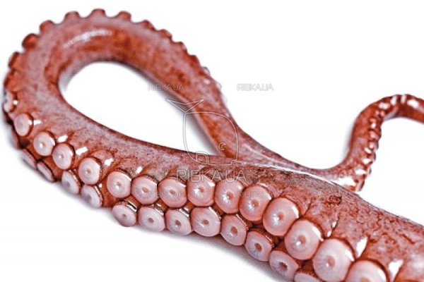 Ссылки на кракен at